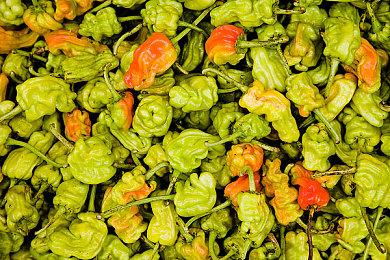 类魂《堕落之主》公布全新截图 黑暗奇幻风